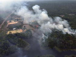 Hutan Amazon Terbakar, Masyarakat Adat Terancam