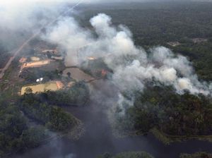 Amazon Kembali Dihabisi Kebakaran Hutan Amazon Kembali Dihabisi Kebakaran Hutan