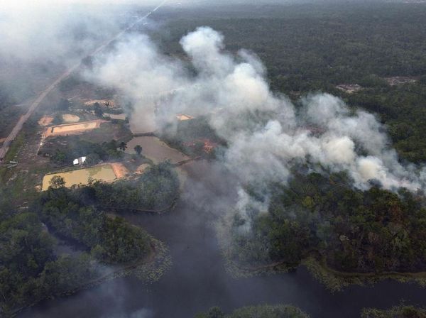 Amazon Kembali Dihabisi Kebakaran Hutan