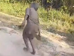 Ulah 2 Bocah Cekoki Miras Rekannya hingga Jatuh ke Selokan