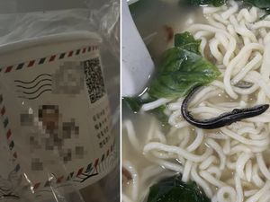 Kaget Temukan Kadal di Mie, Wanita Ini Diajak ke RS oleh Penjual Mie Kaget Temukan Kadal di Mie, Wanita Ini Diajak ke RS oleh Penjual Mie