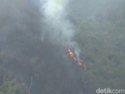 Kebakaran Gunung Bromo Merembet hingga Bromo Hillside Poncokusumo Malang