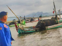 5 Nelayan Situbondo Ditangkap gegara Langgar Zona Tangkapan Ikan