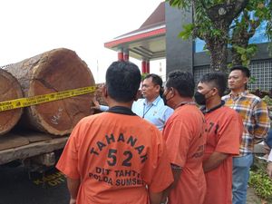 Polda Sumsel Grebek Gudang Kayu Penebangan Ilegal Polda Sumsel Grebek Gudang Kayu Penebangan Ilegal