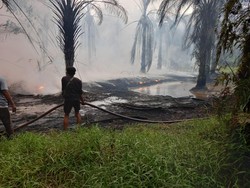 Sumur Minyak Ilegal di Muaro Jambi Terbakar, Pernah Dirazia dan Ditutup 2022