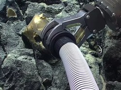 Misterius! Ditemukan Telur Emas di Dasar Laut Alaska