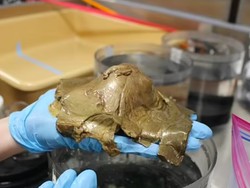 Munculnya Telur Emas di Laut Alaska