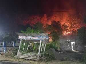 Dua Kawasan Hutan di Kabupaten Blitar Terbakar