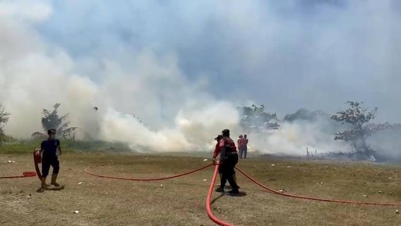 13 Desa di Klungkung Rawan Karhutla, Total Area Capai 26 Ribu Hektare