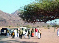 Wadi Al-Jinn, Lembah Misterius di Madinah yang Disebut Sarang Jin