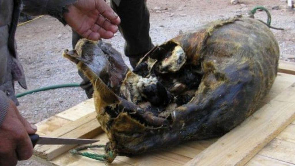 Ini 10 Makanan Beraroma Paling Kuat di Dunia, Kuat Tahan Baunya? Ini 10 Makanan Beraroma Paling Kuat di Dunia, Kuat Tahan Baunya?
