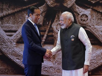 Potret Jokowi Mengikuti KTT G20 di India