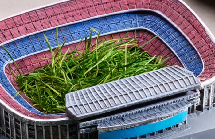 Rumput Camp Nou