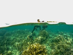 Wow! Jumlah Kunjungan Wisatawan ke Pulau Seribu Meningkat