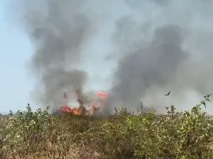 Lahan di Kawasan Kilang Pertamina Jenu Tuban Kembali Terbakar Lahan di Kawasan Kilang Pertamina Jenu Tuban Kembali Terbakar