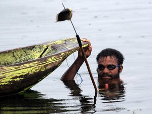 Aksi Warga Tangkap Ikan dengan Alat Tradisional di Danau Sentani Aksi Warga Tangkap Ikan dengan Alat Tradisional di Danau Sentani