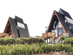 Menginap di Tengah Kebun ala Nimo Tea Resort Bandung