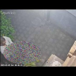 Berita dan Informasi Video bule viral di bali Terkini dan Terbaru ...