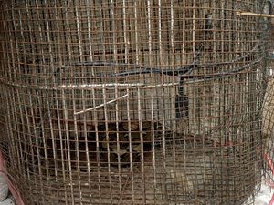 Warga Tangkap Lagi 1 Ular Sanca dari Rumah Kosong di Jaktim, Total 12 Ekor