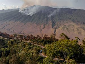 Kebakaran Bromo Rugikan Bisnis Travel hingga 100 Persen Kebakaran Bromo Rugikan Bisnis Travel hingga 100 Persen
