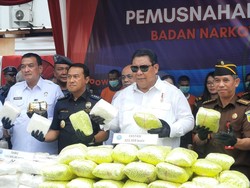 BNN Musnahkan 115 Kg Sabu-51 Kg Ganja dari 13 Kasus Diungkap Sejak Juni