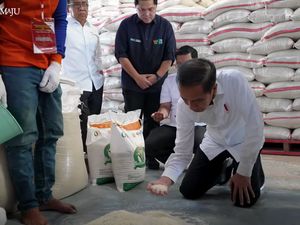 Jokowi Pastikan Stok Beras Melimpah, Minta Masyarakat Tak Khawatir