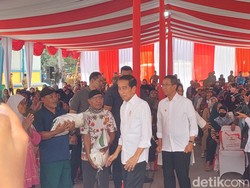 Jokowi Resmi Bagikan Bansos Beras 10 Kg buat 21,3 Juta Keluarga