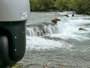 Kamera Pengintai di Hutan Jangan Dirusak Ya, Pendaki Ini Ditolong Olehnya Kamera Pengintai di Hutan Jangan Dirusak Ya, Pendaki Ini Ditolong Olehnya