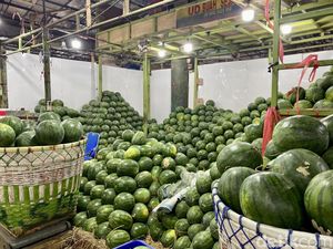 Suasana Los Buah di Pasar Induk Kramat Jati yang Menyegarkan