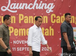 Jokowi Ungkap Penyebab Harga Beras Meroket