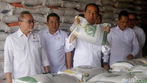 Momen Jokowi Bagikan Bansos Beras 10 Kg
