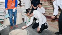 Momen Jokowi Berlutut Cek Beras di Gudang Bulog Bogor