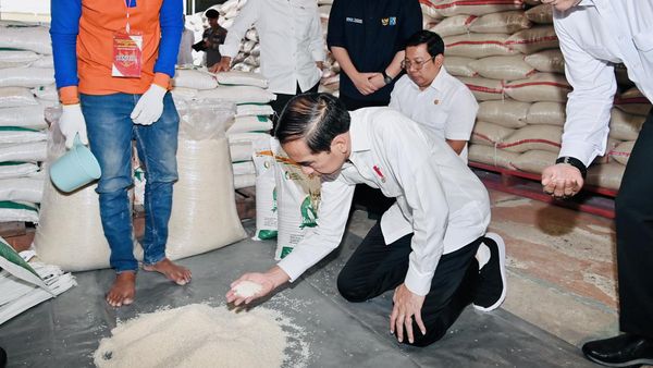 Momen Jokowi Berlutut Cek Beras di Gudang Bulog Bogor
