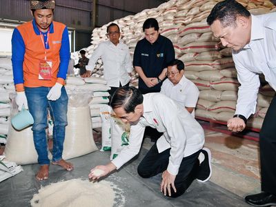 Momen Jokowi Berlutut Cek Beras di Gudang Bulog Bogor