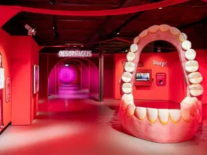 Pameran Pencernaan dan Kotoran Manusia, Menjijikkan namun Mendidik