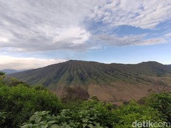Penampakan Before-After Kebakaran Melalap Bukit Jemplang Bromo