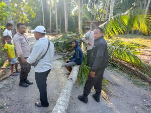 Angin Kencang, Pelajar di Kupang Tewas Tertimpa Pohon Kelapa