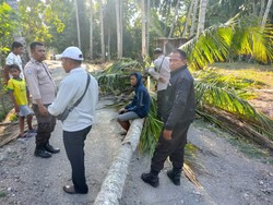 Angin Kencang, Pelajar di Kupang Tewas Tertimpa Pohon Kelapa