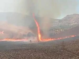 Pusaran Api di Kebakaran Bromo yang Viral Namanya Dust Devil, Apa Itu? Pusaran Api di Kebakaran Bromo yang Viral Namanya Dust Devil, Apa Itu?