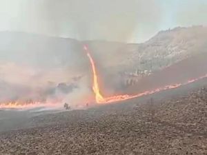 Bagaimana Fire Whirl Tornado Api Perparah Kebakaran di Bromo Bagaimana Fire Whirl Tornado Api Perparah Kebakaran di Bromo
