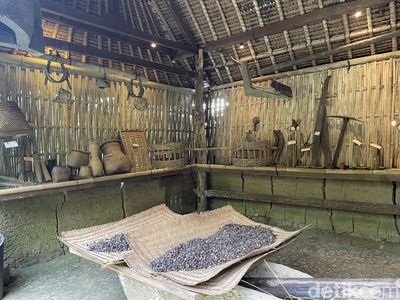 Bali Pulina Tempat Ngopi di Tengah Kebun Kopi dan Kawanan Luwak