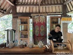 Bali Pulina, Sensasi Ngopi Luwak di Tengah Kebun Kopi Gianyar
