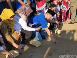 Festival Ucul-ucul, Pelepasan Tukik di Pantai Taman Kili-Kili Trenggalek