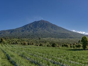 7 Gunung yang Dijuluki Seven Summit Indonesia, Apa Saja?