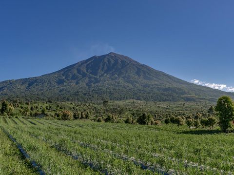 Gunung Kerinci, Jambi
