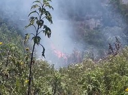 Sempat Padam, Api di Bromo Membara Lagi karena Embusan Angin Kencang