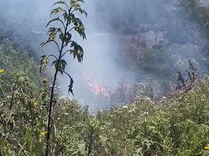 Imbas Kebakaran Bromo, Saluran Pipa Rusak-Warga Krisis Air Bersih Imbas Kebakaran Bromo, Saluran Pipa Rusak-Warga Krisis Air Bersih