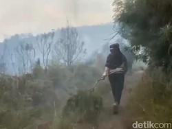 Kebakaran Gunung Bromo Merembet ke Wilayah Tutur Pasuruan