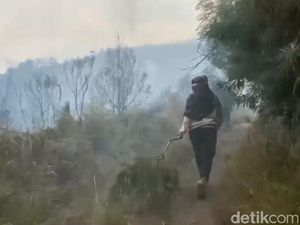 Kebakaran Gunung Bromo Merembet ke Wilayah Tutur Pasuruan Kebakaran Gunung Bromo Merembet ke Wilayah Tutur Pasuruan