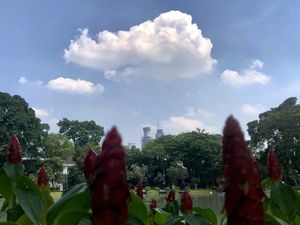 Prakiraan Cuaca Jember 16 November 2023, Siang hingga Malam Berawan Prakiraan Cuaca Jember 16 November 2023, Siang hingga Malam Berawan
